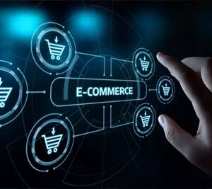 Standard Ecommerce Plan