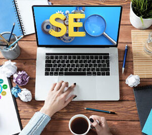 Premium Search Engine Optimization Features