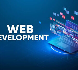Platinum Website Design Packages