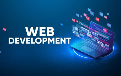 Platinum Website Design Packages